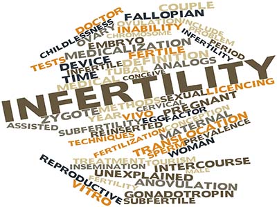 Infertilidad – femenina, masculina – fertilización asistida - invitro